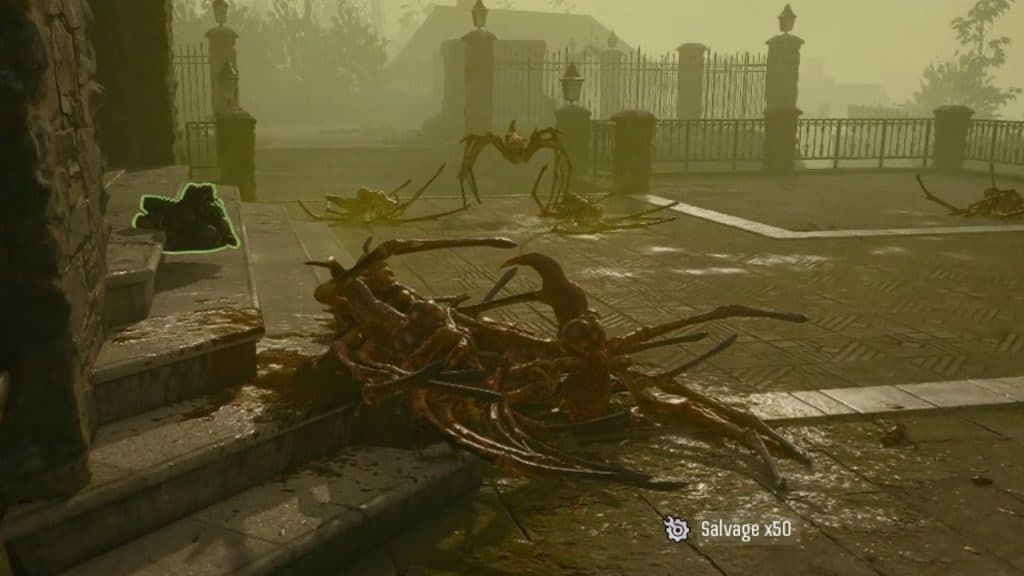 Zombie Spiders in Black Ops 6