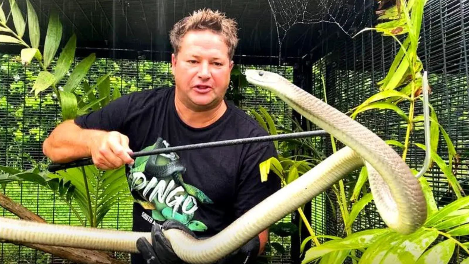 YouTuber apodado 'Steve Irwin de Sudáfrica' muere tras ataque de cobra