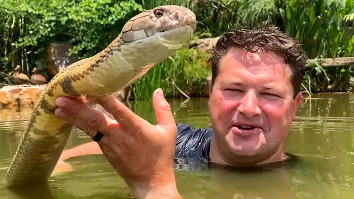 YouTuber apodado 'Steve Irwin de Sudáfrica' muere tras ataque de cobra