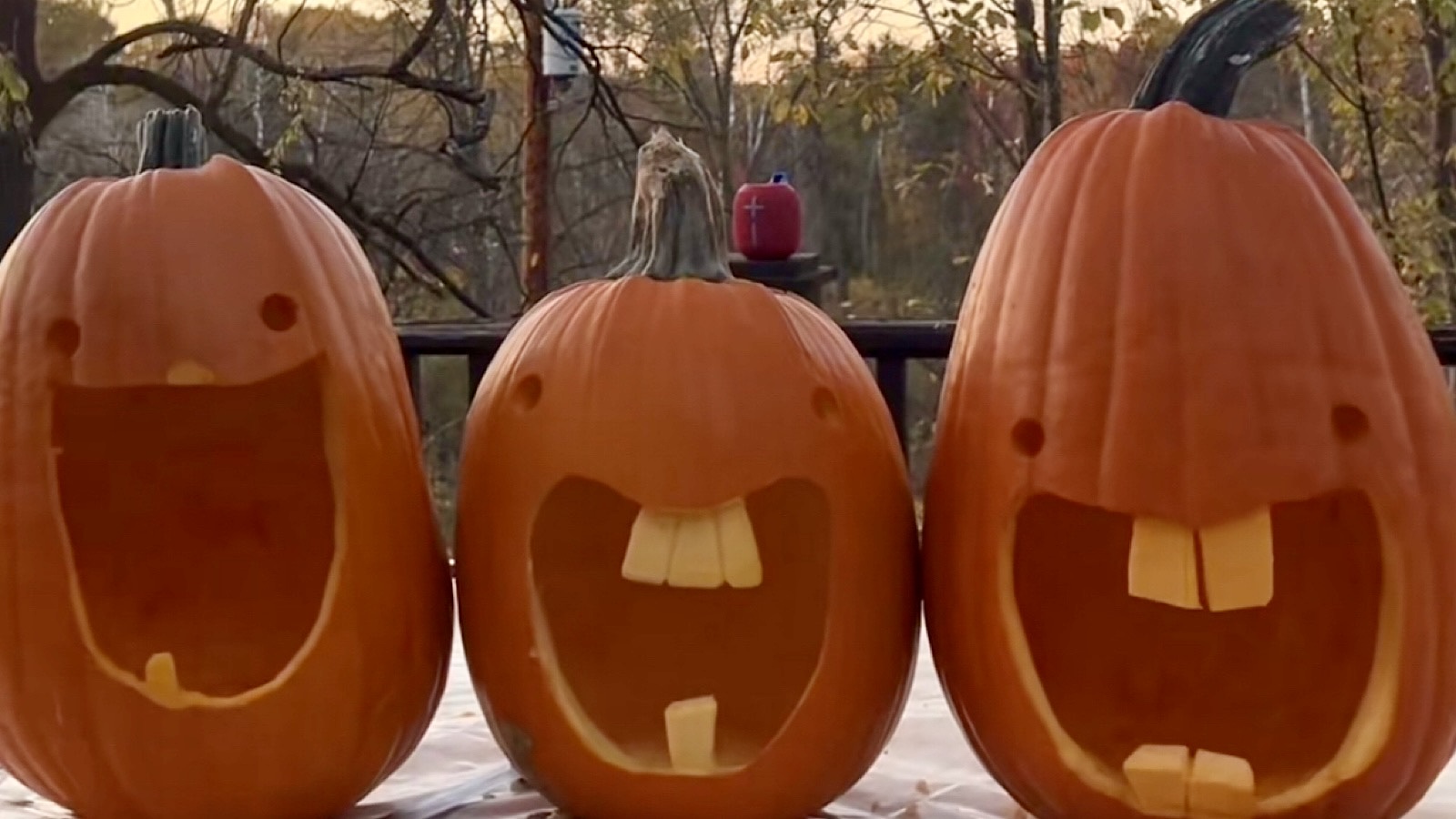 What is the ‘dumb ahh pumpkin’ trend? Goofy-looking gourds go viral on TikTok