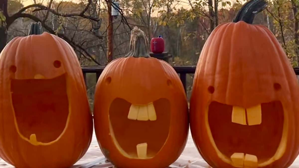 What is the ‘dumb ahh pumpkin’ trend? Goofy-looking gourds go viral on ...