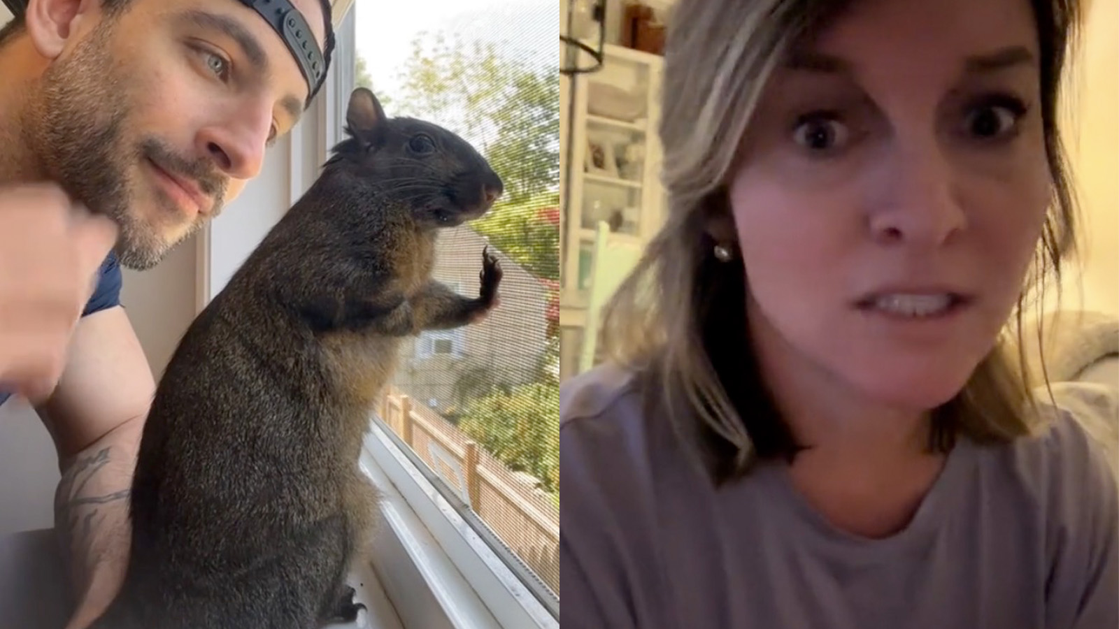 Woman speaks out after being wrongly blamed for Peanut the squirrel’s death