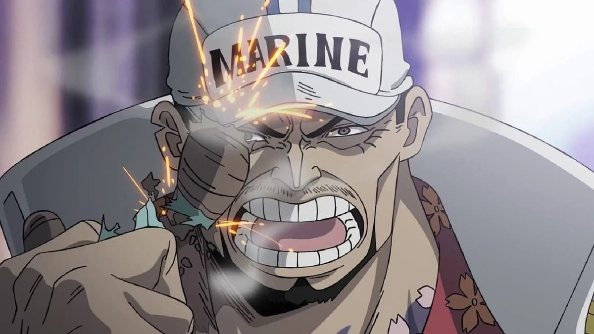 One Piece Akainu