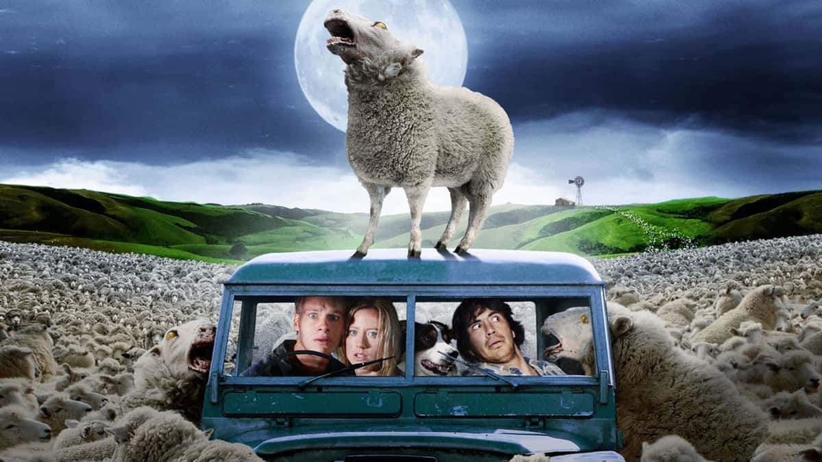 The Black Sheep poster.