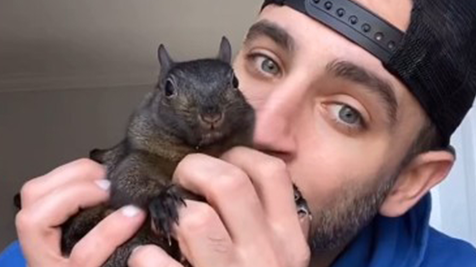 New York planned to kill Peanut the squirrel even though he didn’t have rabies: Report