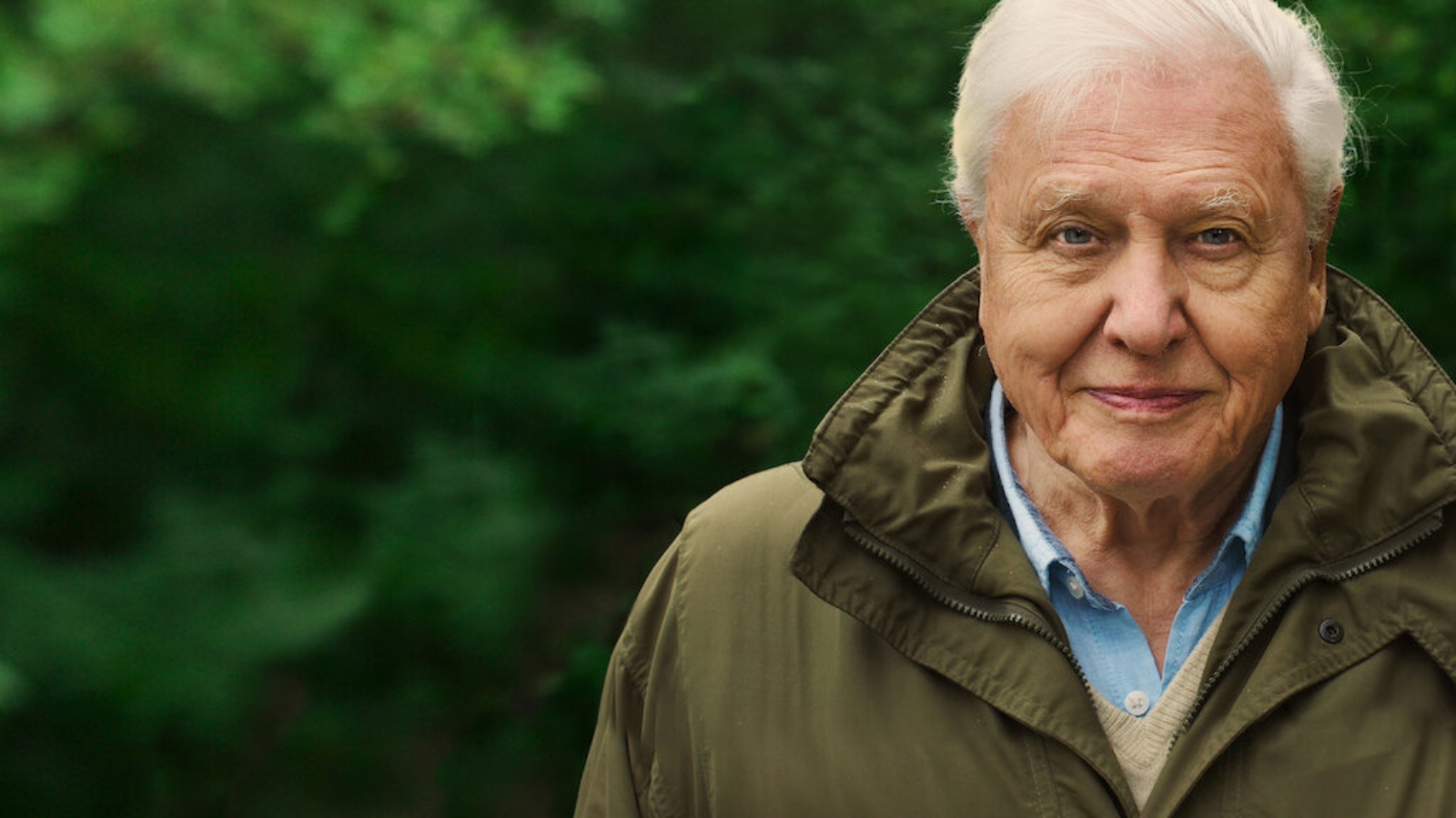 David Attenborough furioso com o clone de voz ‘perturbador’ da IA