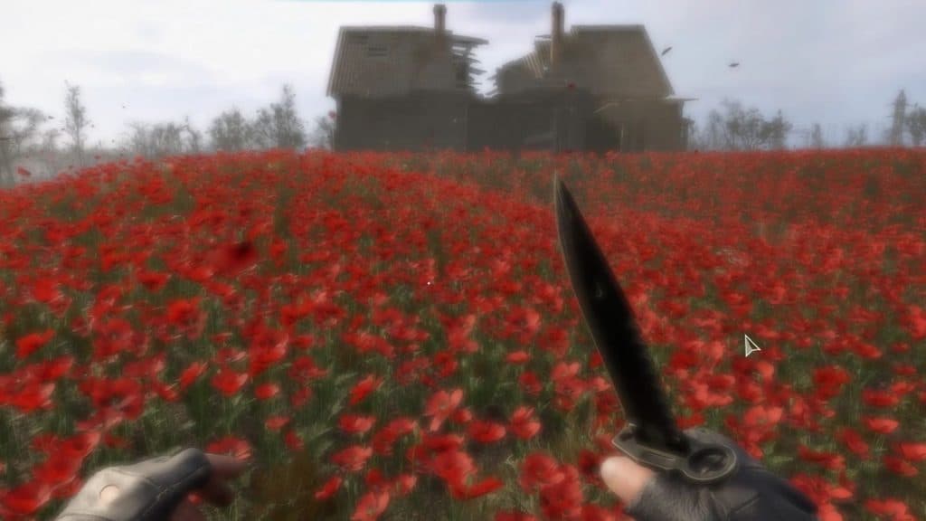 Stalker 2 poppy field