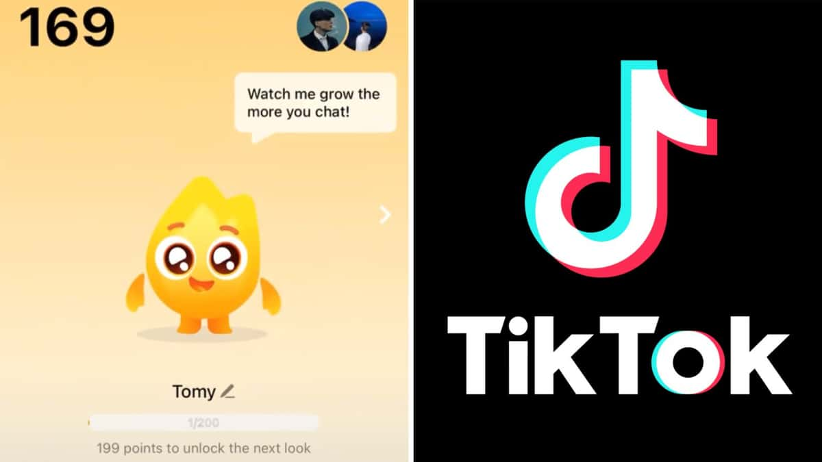 Streak pet TikTok