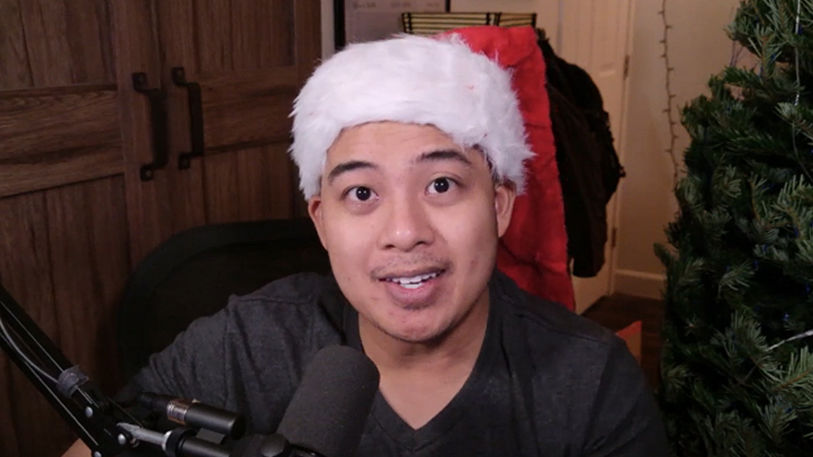 Twitch streamer vows to eat entire Christmas tree if he fails donation goal