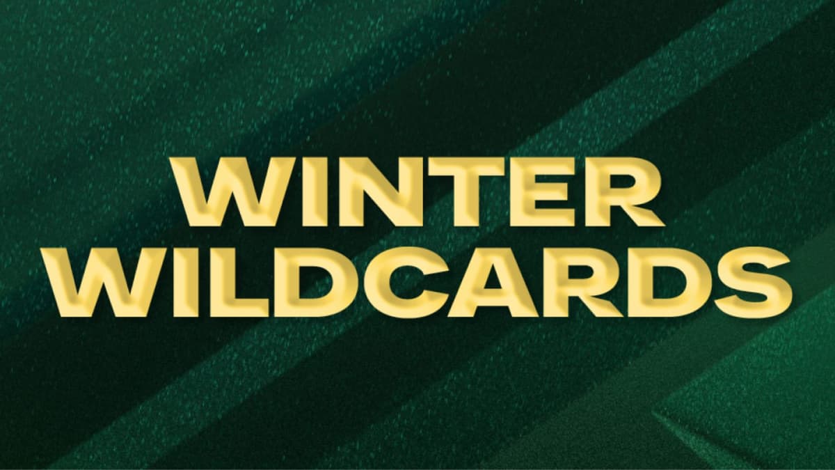 Winter Wildcards logo from EA FC 25