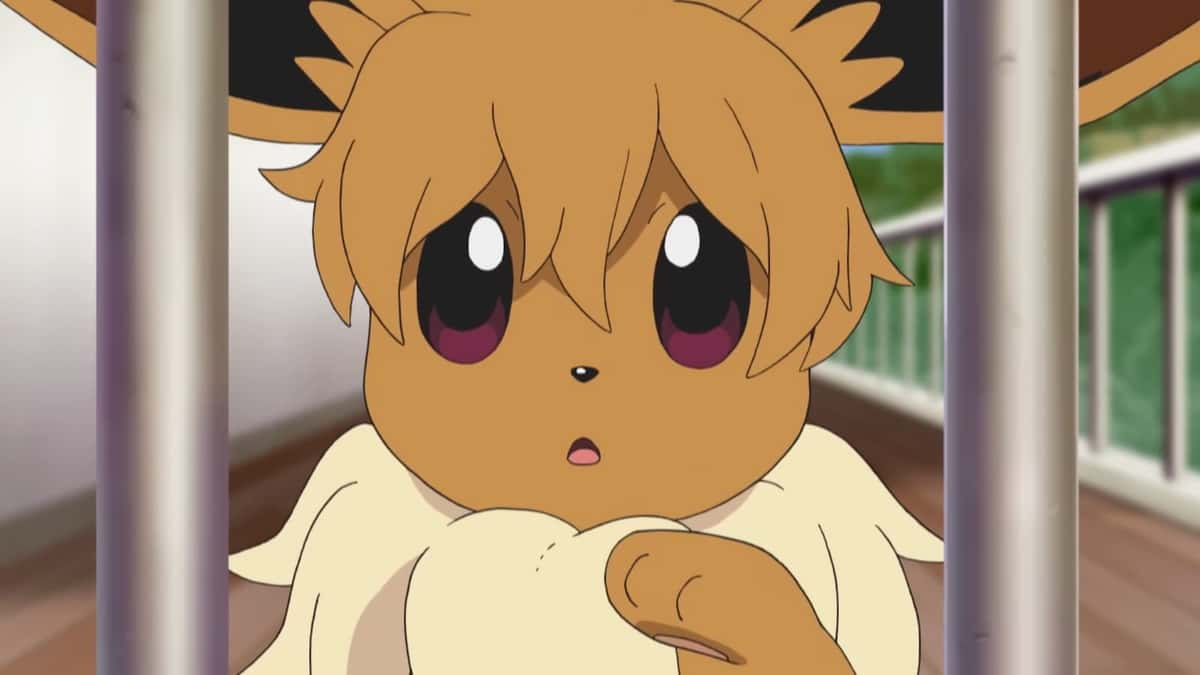 Eevee Pokemon Anime YouTube Short