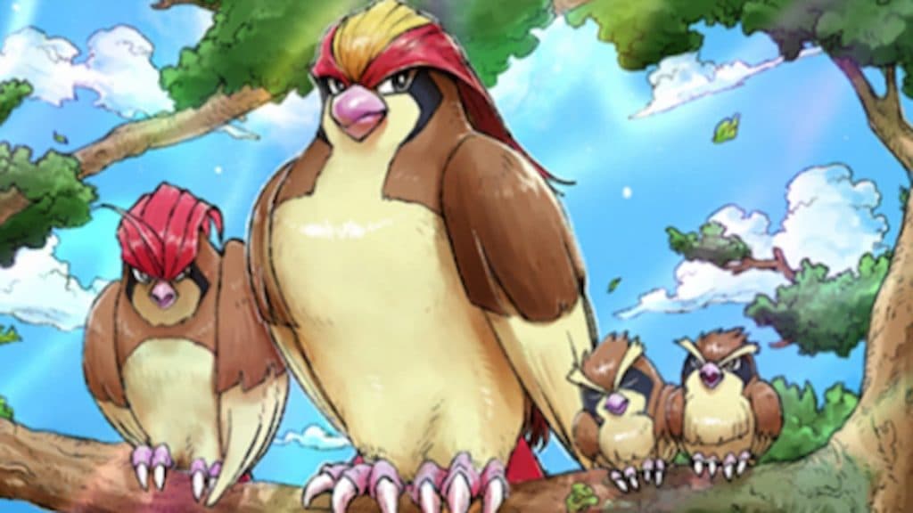 Pokemon TCG Pocket Pidgeot Genetic Apex