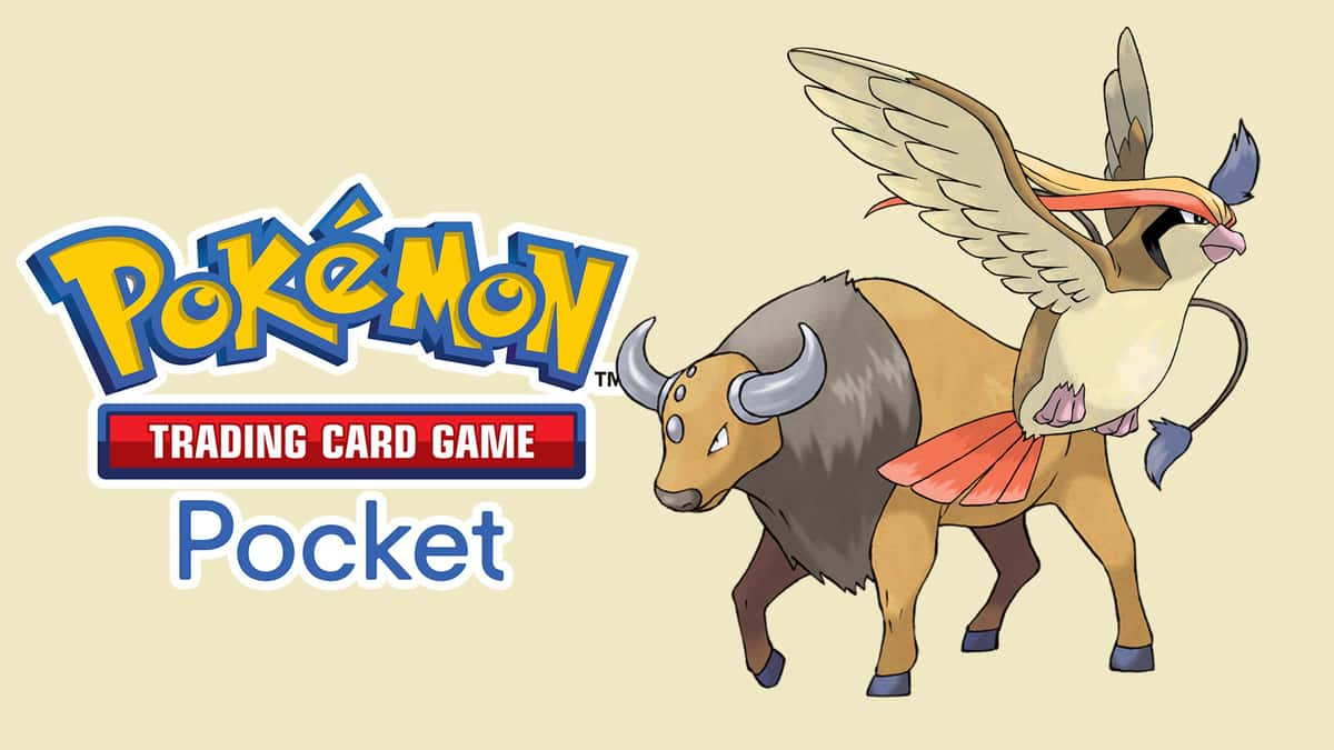 Pokemon Pidgeot ex best deck build