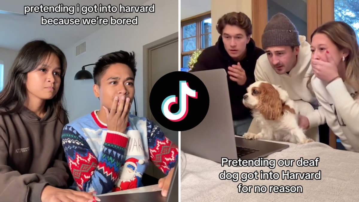 Pretending I got into Harvard TikTok trend