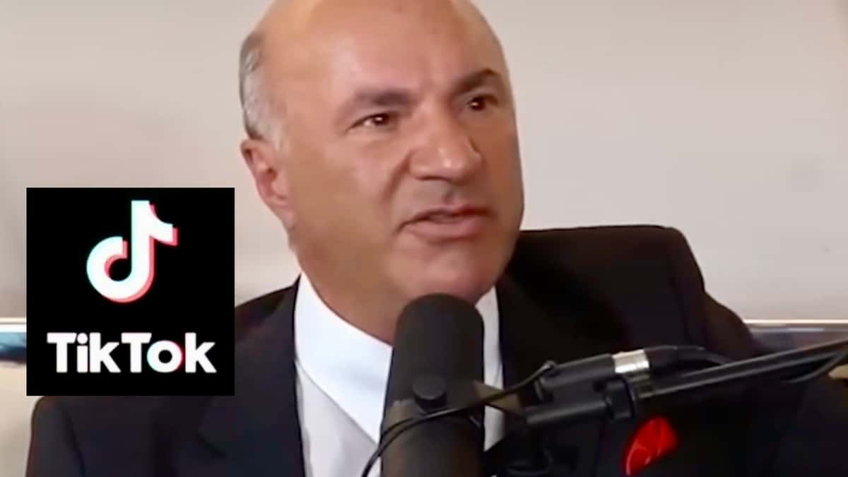 Kevin o'leary might buy tiktok