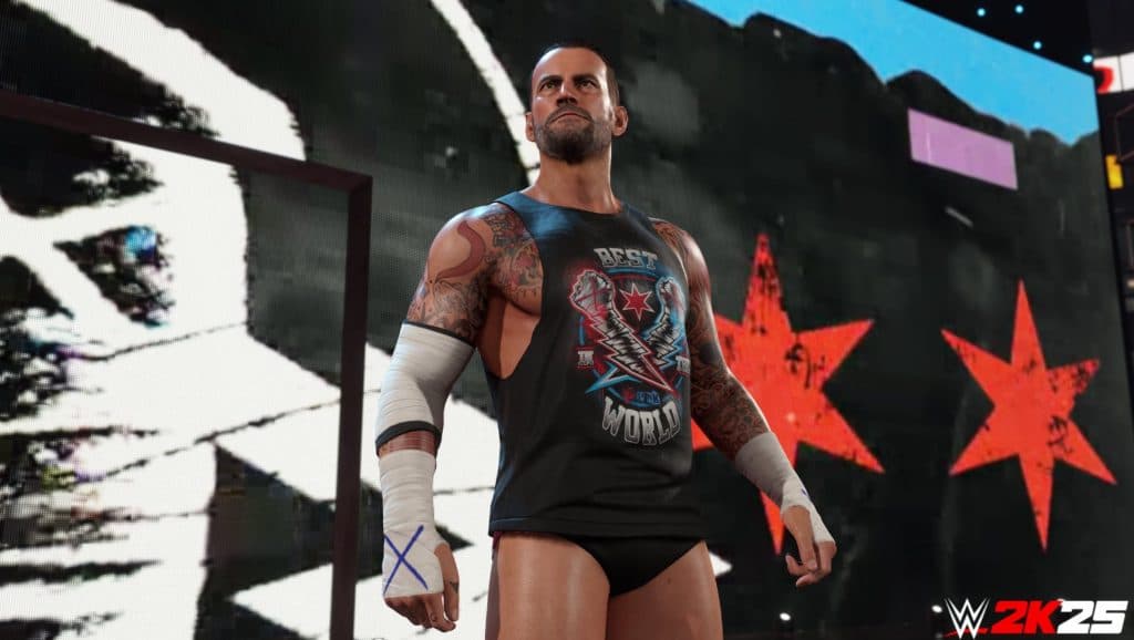 WWE 2K25 CM Punk