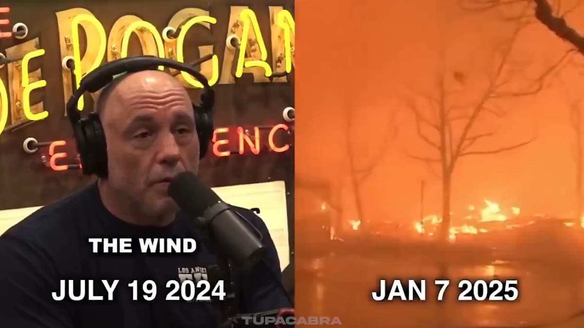 roe rogan talks wildfires