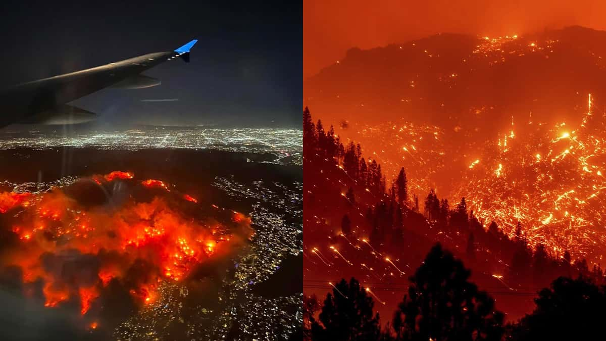 LA wildfires