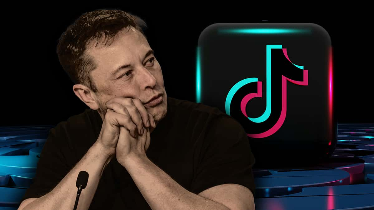 lawyer-interview-elon-musk-tiktok-ban