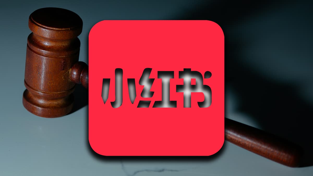 lawyer-warns-tiktok-alternative-apps-xiaohongshu-rednote-lemon8-possible-ban-precedent