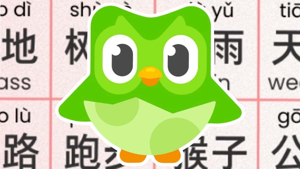 Duolingo sees 216% increase in Mandarin learners in the US