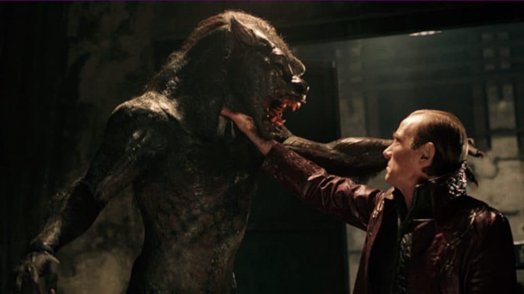 A vampire fights a werewolf in Underworld