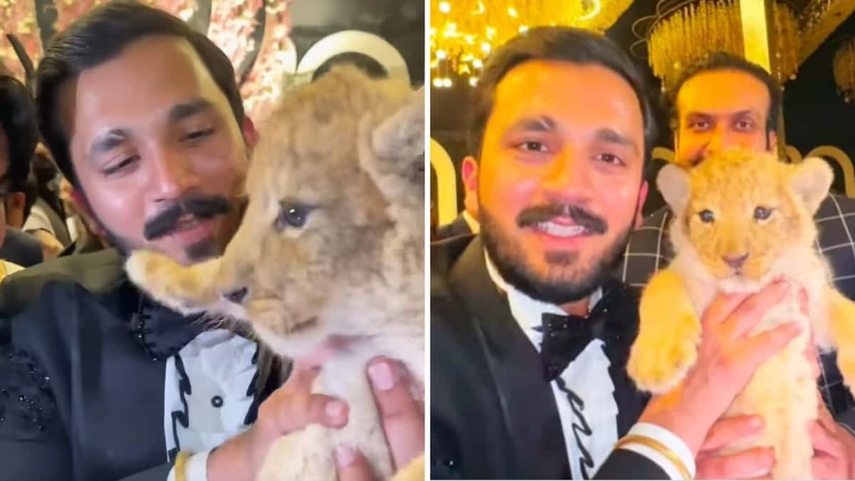 YouTuber with lion cub