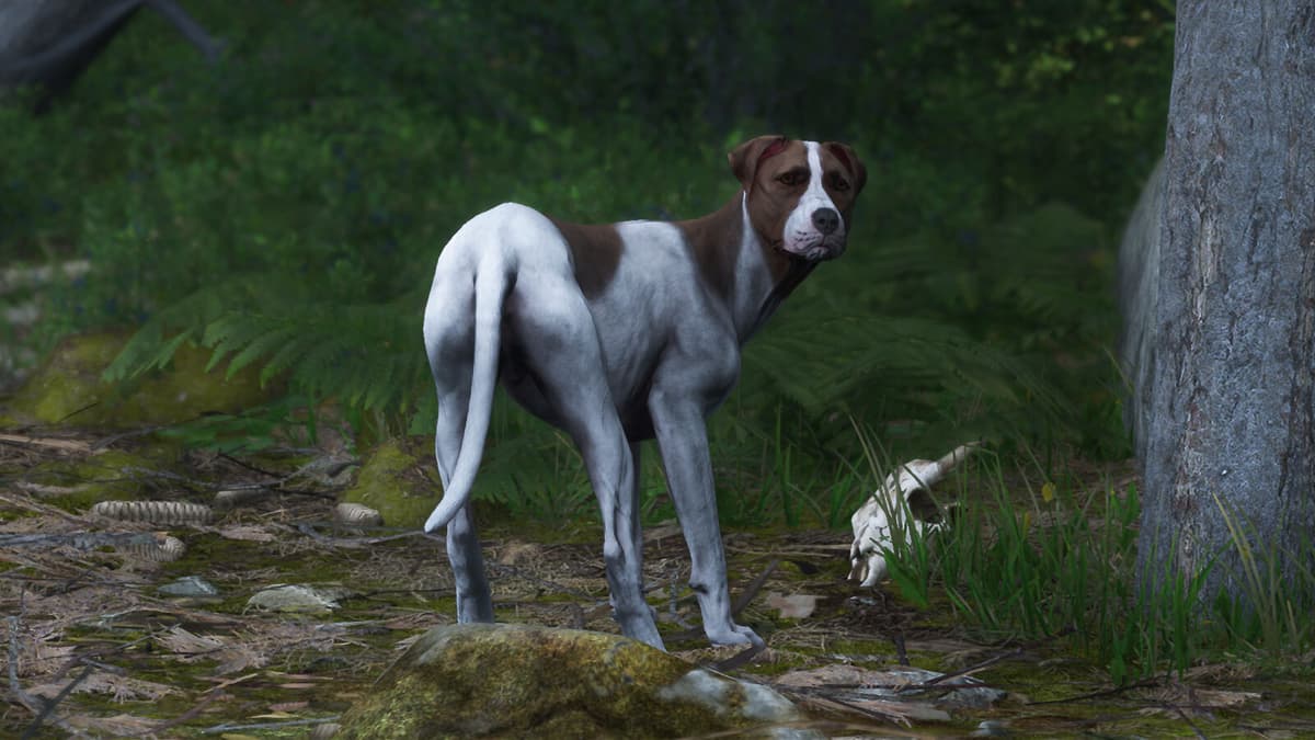 Mutt in Kingdom Come: Deliverance 2