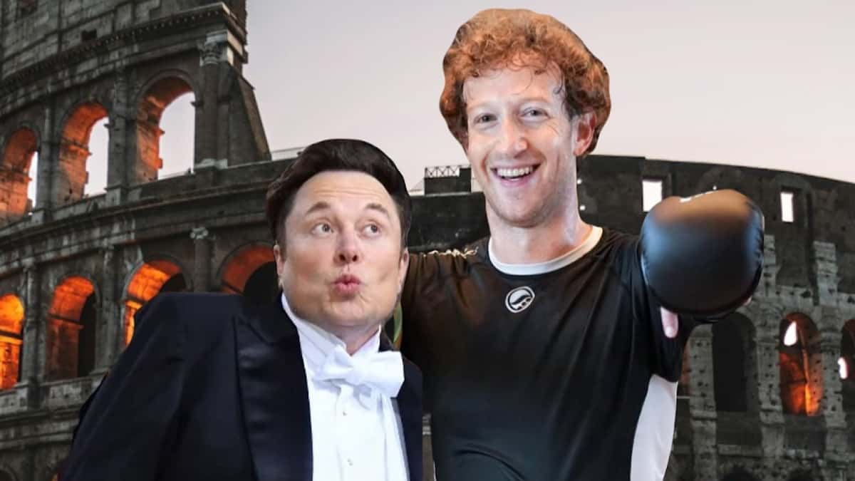 musk and zuckerberg fight MMA