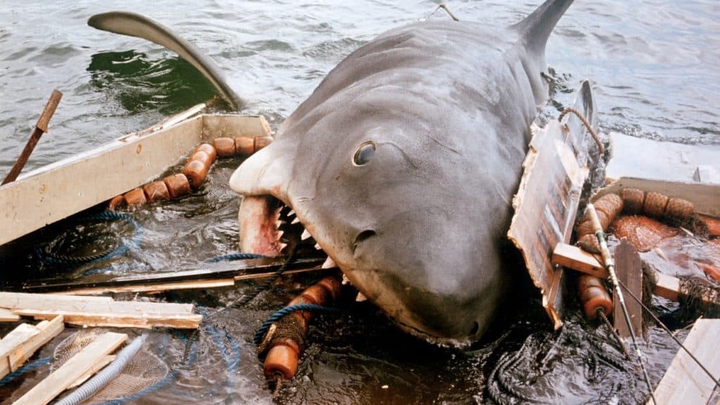 The dark rips apart the boat in Jaws