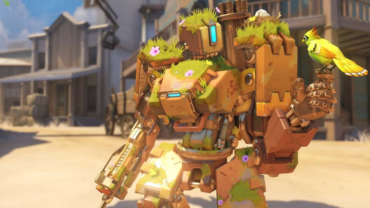 Overwatch Bastion